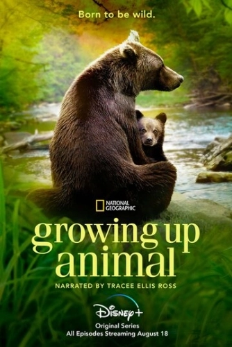 Growing Up Animal () смотреть онлайн